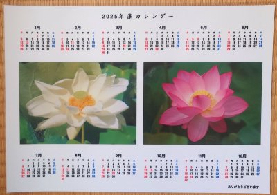 画像2: 発売中・送料無料【プレゼントシール付き】2025年くれいん舎オリジナルカレンダー（A4サイズ）