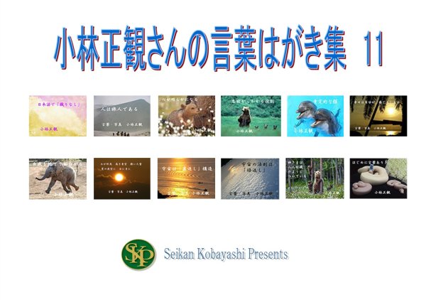 画像1: 【発売中】正観さん言葉はがき集(11)　『メール便可』 (1)
