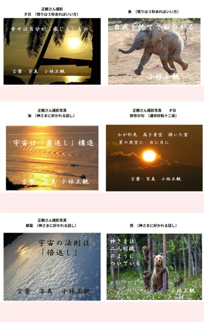 画像2: 【発売中】正観さん言葉はがき集(11)　『メール便可』