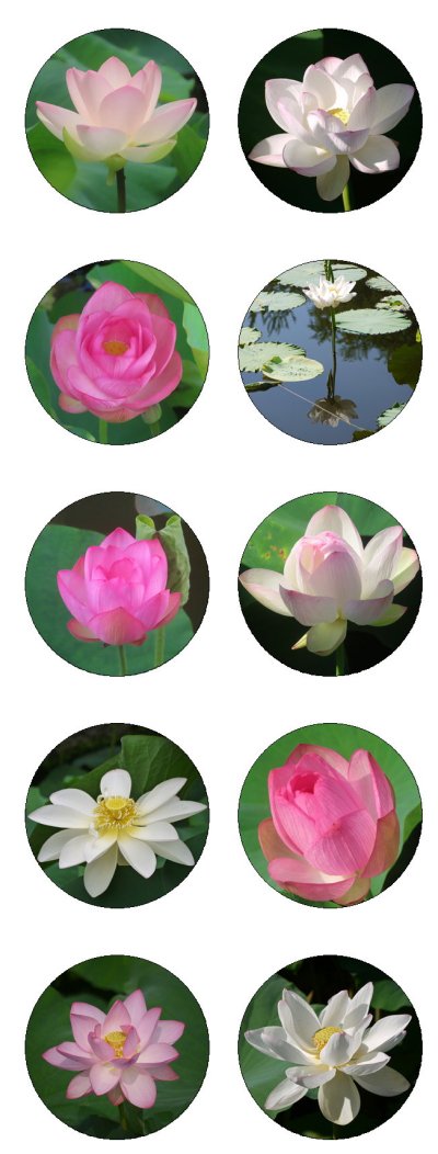 画像1: 発売中・送料無料【プレゼントシール付き】2026年くれいん舎オリジナルカレンダー（A4サイズ）