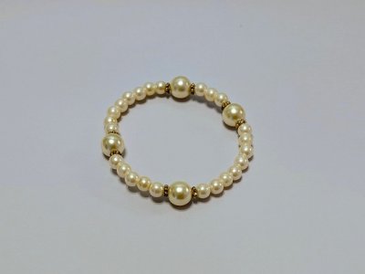 画像1: 【限定１・送料無料】(12)