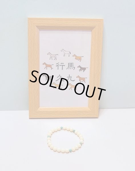 画像1: 【限定１・送料無料】(16) (1)