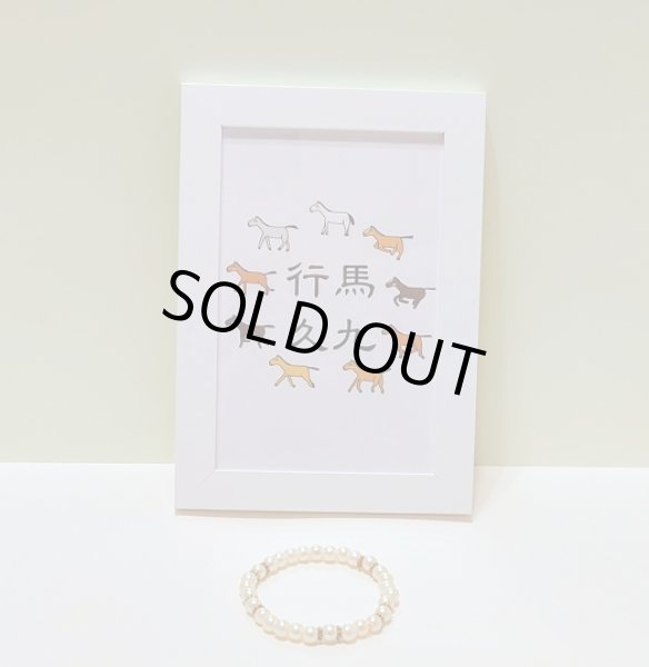 画像1: 【限定１・送料無料】(14) (1)