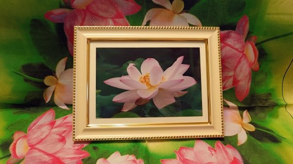 画像1: 【限定１馬九行久フレームもついてます・送料無料】(40) (1)