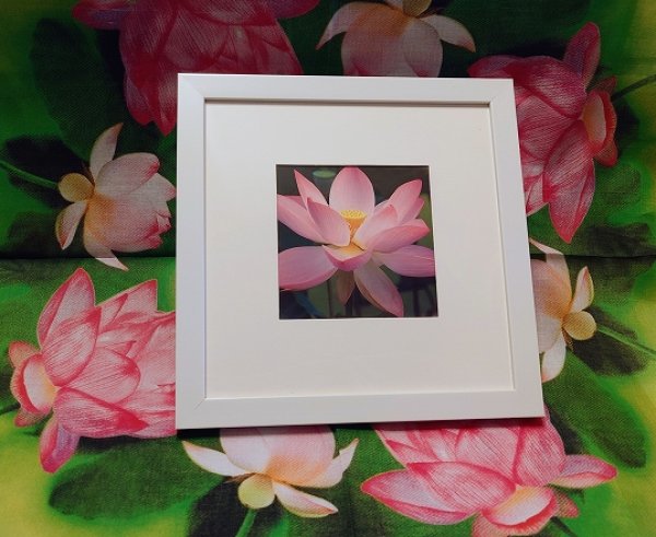 画像1: 【限定１馬九行久フレームもついてます・送料無料】(41) (1)