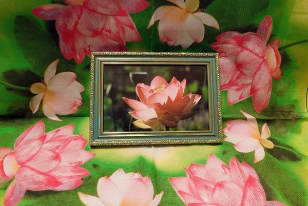 画像1: 【限定１馬九行久フレームもついてます・送料無料】(38) (1)