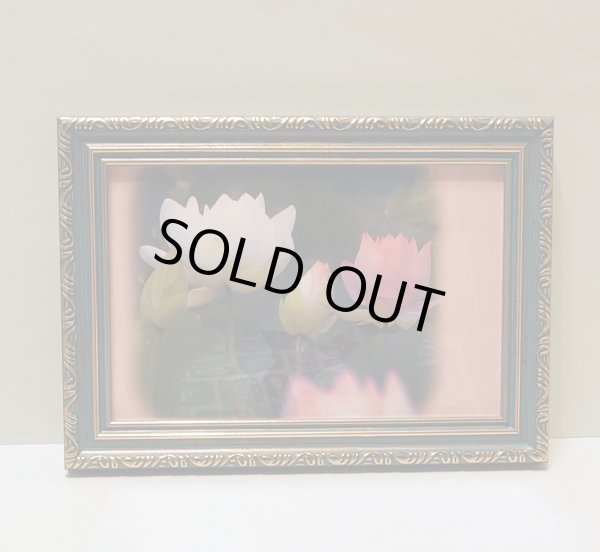 画像1: 【１点限り】額入り蓮の画像 (1)