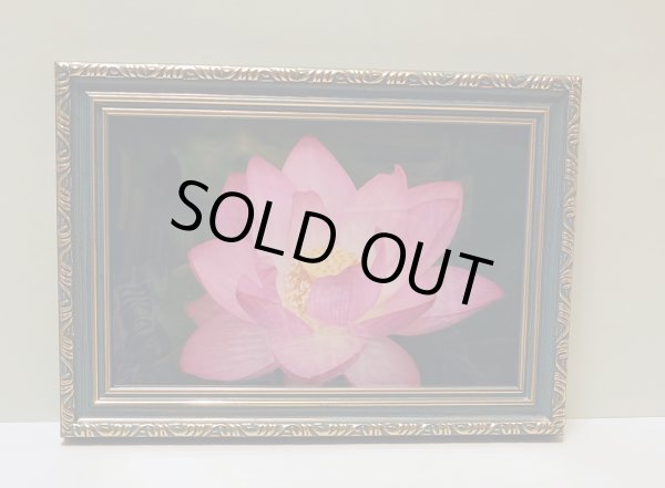 画像1: 【１点限り】額入り蓮の画像 (1)