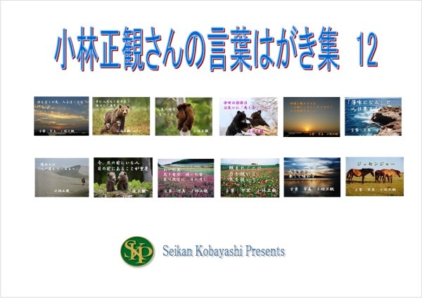 画像1: 【予約受付中】正観さん言葉はがき集(12)　『メール便可』 (1)