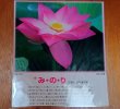 画像1: 【在庫3限り：送料無料の特別提供品】正観さんの言葉入り蓮の花ラミネート (1)