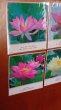 画像3: 【在庫3限り：送料無料の特別提供品】正観さんの言葉入り蓮の花ラミネート (3)