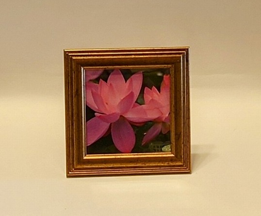 【１点限り】蓮の画像入額