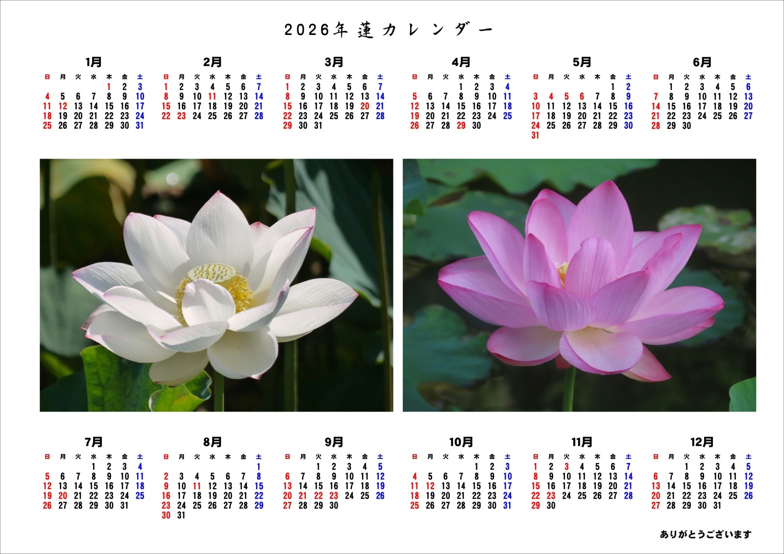 発売中・送料無料【プレゼントシール付き】2026年くれいん舎オリジナルカレンダー（A4サイズ）