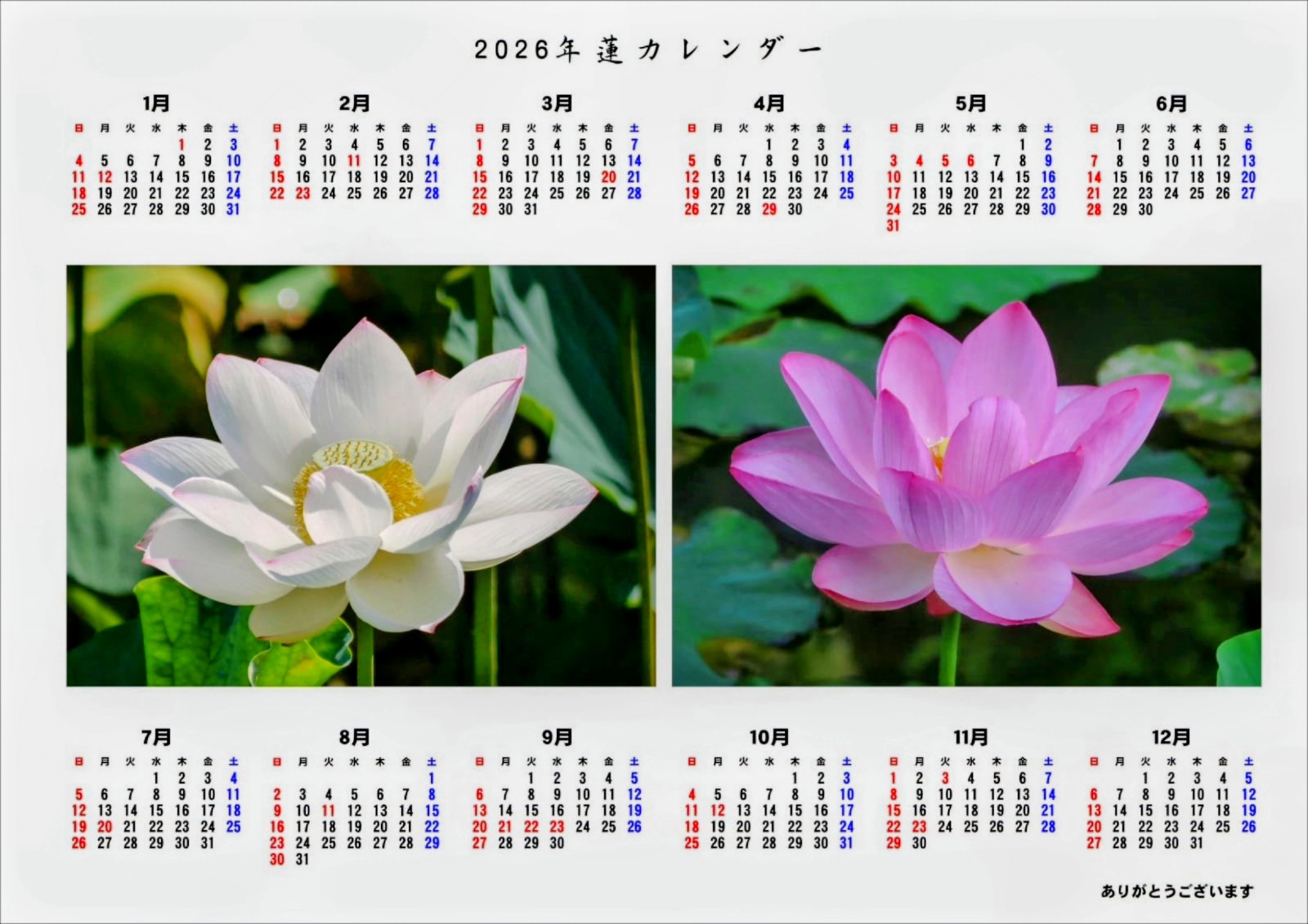 発売中・送料無料【プレゼントシール付き】2026年くれいん舎オリジナルカレンダー（A4サイズ）